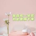 我喜欢一朵花未必一定要摘下来