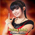 Ratna Antika - Walang Kekek