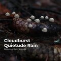 Cloudburst Quietude Rain