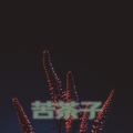 Ice Capper - 苦茶子