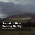 Relaxing Rain Sounds、Rain for Sleep、Rain Drops for Sleep - Restful Mind in Rain