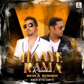 Mika Singh、DJ Amit B - Haaye Rama (Reloaded)