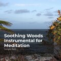 Soothing Woods Instrumental for Meditation