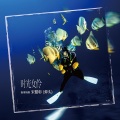 宋健彰 - 花衬衫骑野狼