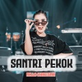 Santri Pekok