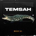 Hamid Darko、Hamid darafarin、BIGGI - Temsah (Explicit)