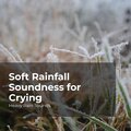 Soft Rainfall Soundness for Crying