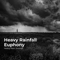 Heavy Rainfall Euphony