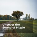 Uncover the Sound of Mizzle