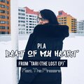 Pi.A、The Pineears - Beat of my heart (feat. The Pineears)
