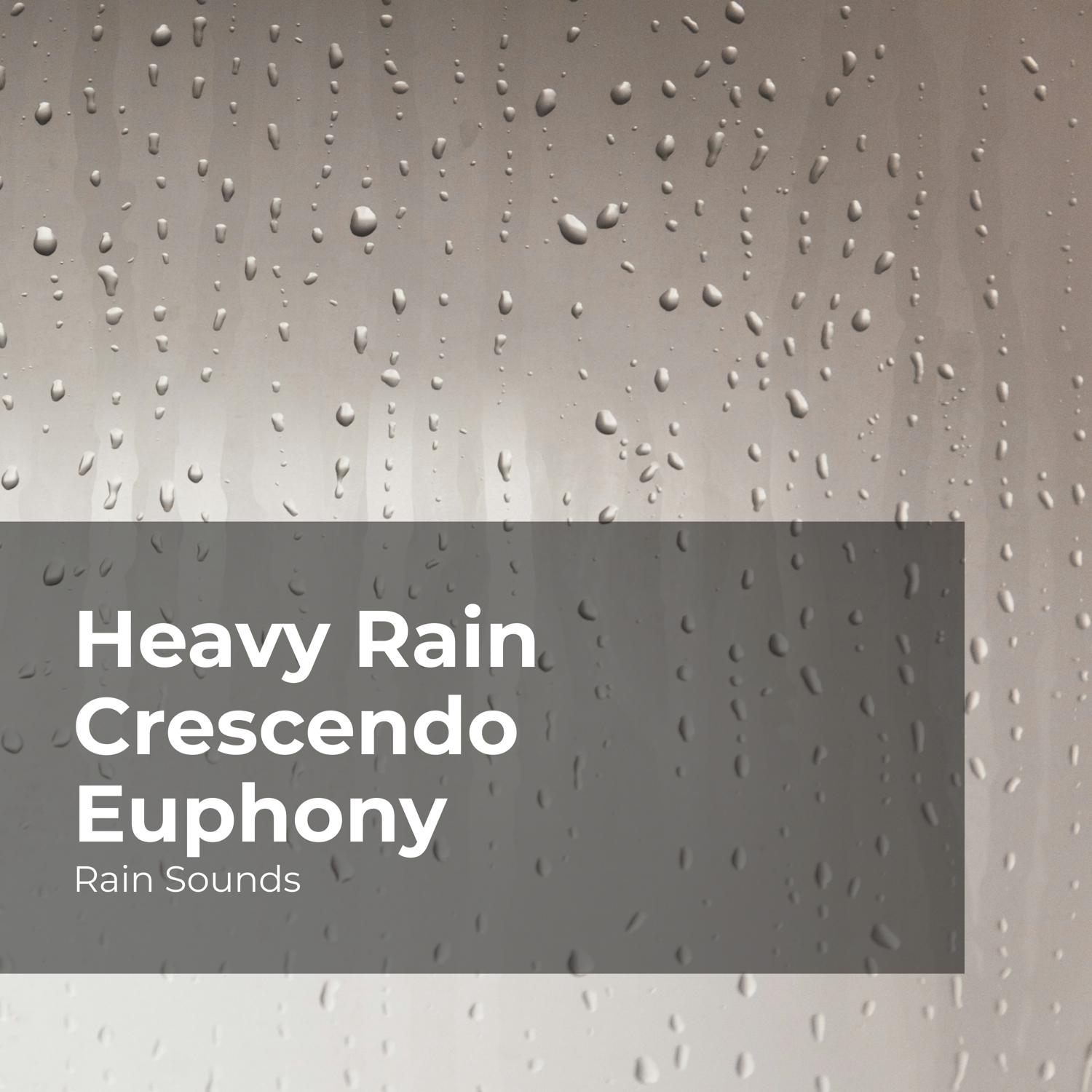 Natural Rain Sounds for Sleeping、Rain Storm Sample Library、Rain Sounds - Musical Showering Rain