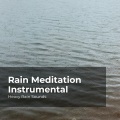 Heavy Rain Sounds、Rain Shower Spa、Lullaby Rain - Increasingly Heavy Storm
