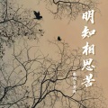 老胡子男孩 - 明知相思苦