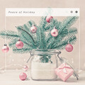 4 Holidays: Peace of Holiday