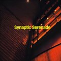 Clark Stewart - Synaptic Serenade