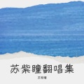 苏紫瞳 - 离岸