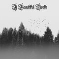 Beautiful Death - The Voice of the Departed