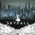 Skyfall (Explicit)