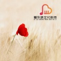 李乐萱 - 没有共产党就没有新中国 (笛子独奏)