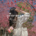 花语