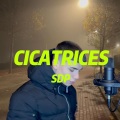 Cicatrices