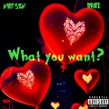 What You Want ? (Explicit)