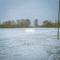 Alexander David、Montany - Woods