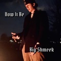 Big Shmeek - Money Balls
