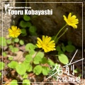 トオルコバヤシ - 名前