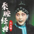 Unknown Singer - 慈母泪