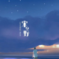 谢松亮 - 我不是你的宋冬野