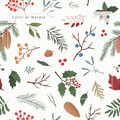 Canzoni Natalizie - Natale sta arrivando: Deck the Halls