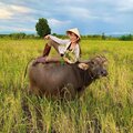nguyễn văn mạnh - Không Làm Mà Đòi Có Ăn Cứ Làm Theo Mình Chắc Chắn Giàu