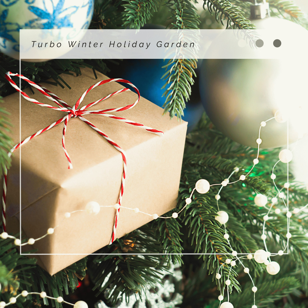 Christmas Moods - Joy To The World: gentle Christmas Nap