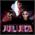 Juluka (feat. Mr Nation Thingz, TNK MusiQ & Absolutesoulx)