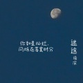 筱平 - 迷途