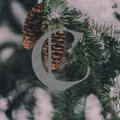 Cygnet - Yuletide Memories