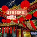 王羽泽 - 过年好