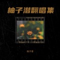 柚子潜 - 夏日预售