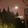 黄一谦 - 圣诞结