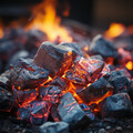 Sonidos de la naturaleza con música、Sonidos de fuego de la naturaleza chisporroteante、Armonía mental - Canciones De Spa Seraficas En La Relajación