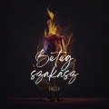HAZZY - Beteg szakasz (Explicit)