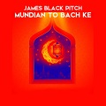 James Black Pitch - Mundian To Bach Ke (Vocal Mix)