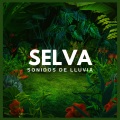 Sonidos De La Selva - Selva: Sonidos de Lluvia