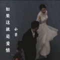 小染 - 如果这就是爱情