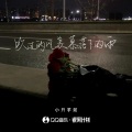小只芋泥 - 吹过的风羡慕落下的雨