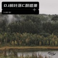 DJ枫叶落C - 午夜DJ2015 (DJ枫叶落C remix)