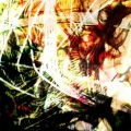 Whybaby_ff - oribatida