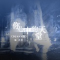 你心中的天堂 (DJSSS版)