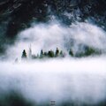 Trvxzen、Kvaxa - Cicatrici (Remix)